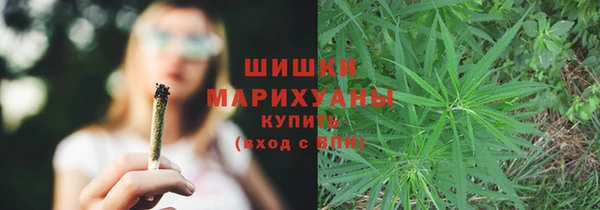 шишки Белоозёрский