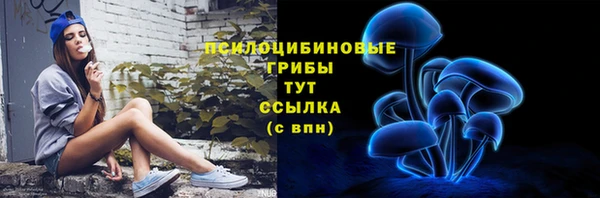винт Беломорск
