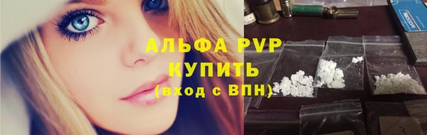 спиды Богородск