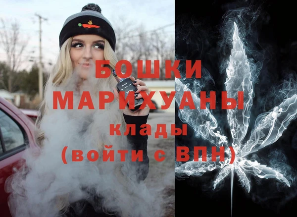 шишки Белоозёрский