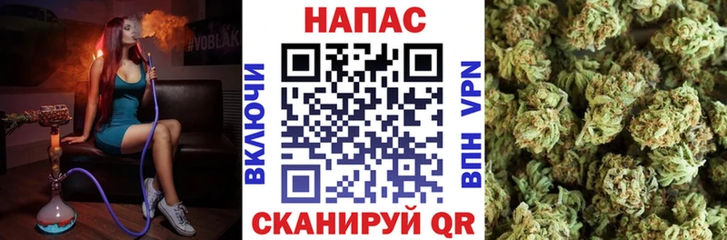 Бошки марихуана THC 21%  МЕГА ссылки  Полесск  как найти закладки 